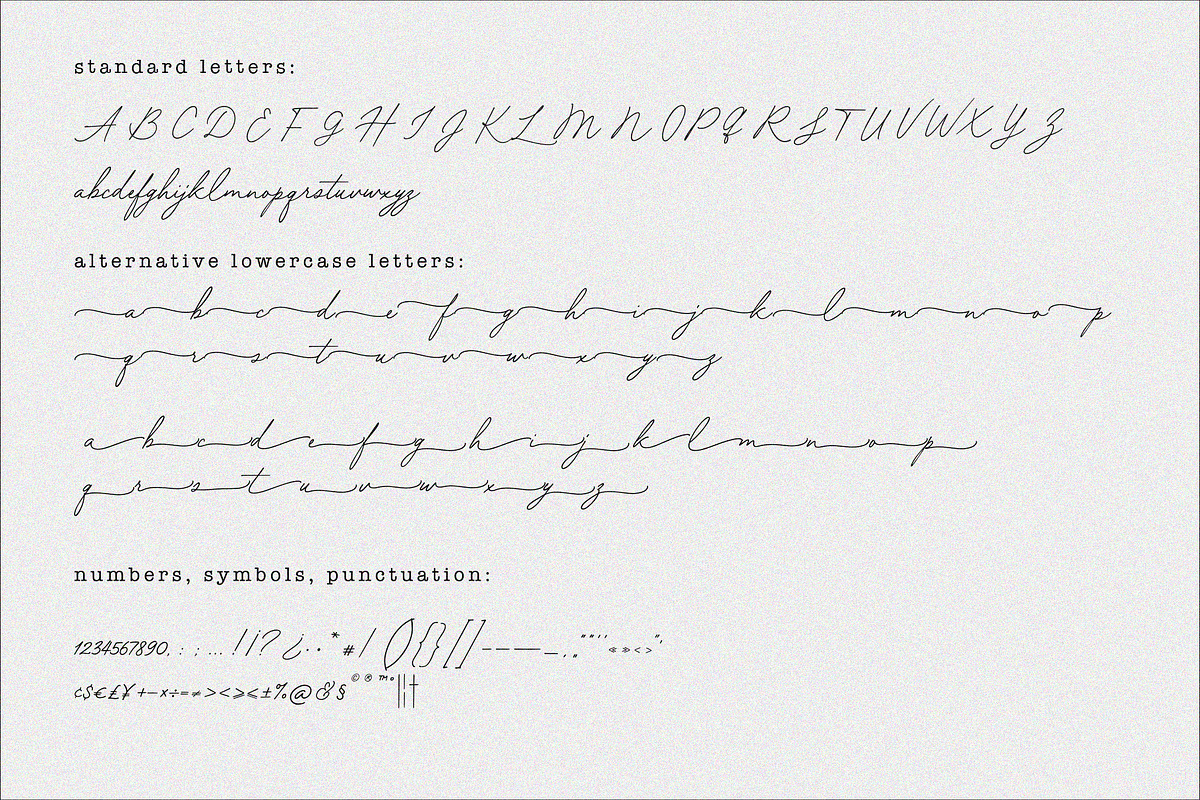 Forest Hill // Modern Script Font, a Script Font by PeachCreme (Photo 12 of 12)