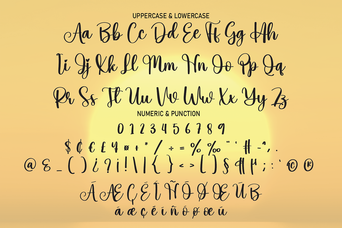 Sunrice | Script Font, a Script Font by Scratchones (Photo 4 of 8)