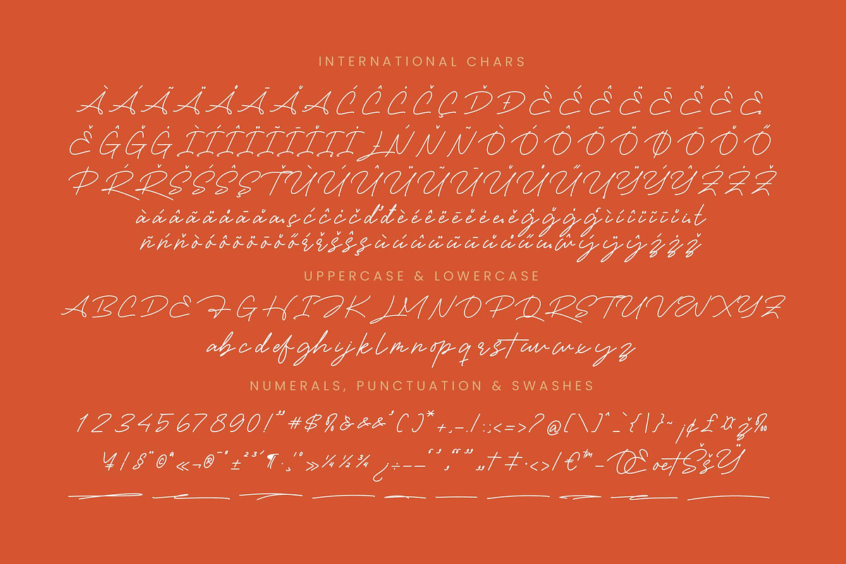 Victoria Montera Monoline Signature, a Script Font by stylishtype.co (Photo 18 of 20)