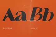 Compote, a Sans Serif Font by FactoryType (Thumbnail 3 of 10)