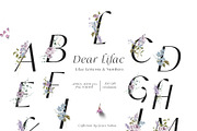 Floral Lilac Watercolor Collection, an Illustration by Grace Noboa Illustrations (Thumbnail 5 of 13)