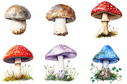 Rustic Spring Mushrooms Clipart, an Illustration by SinaCreation (Thumbnail 4 of 5)