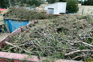piles of branches and vegetation in a waste container, a Photo by Nito
