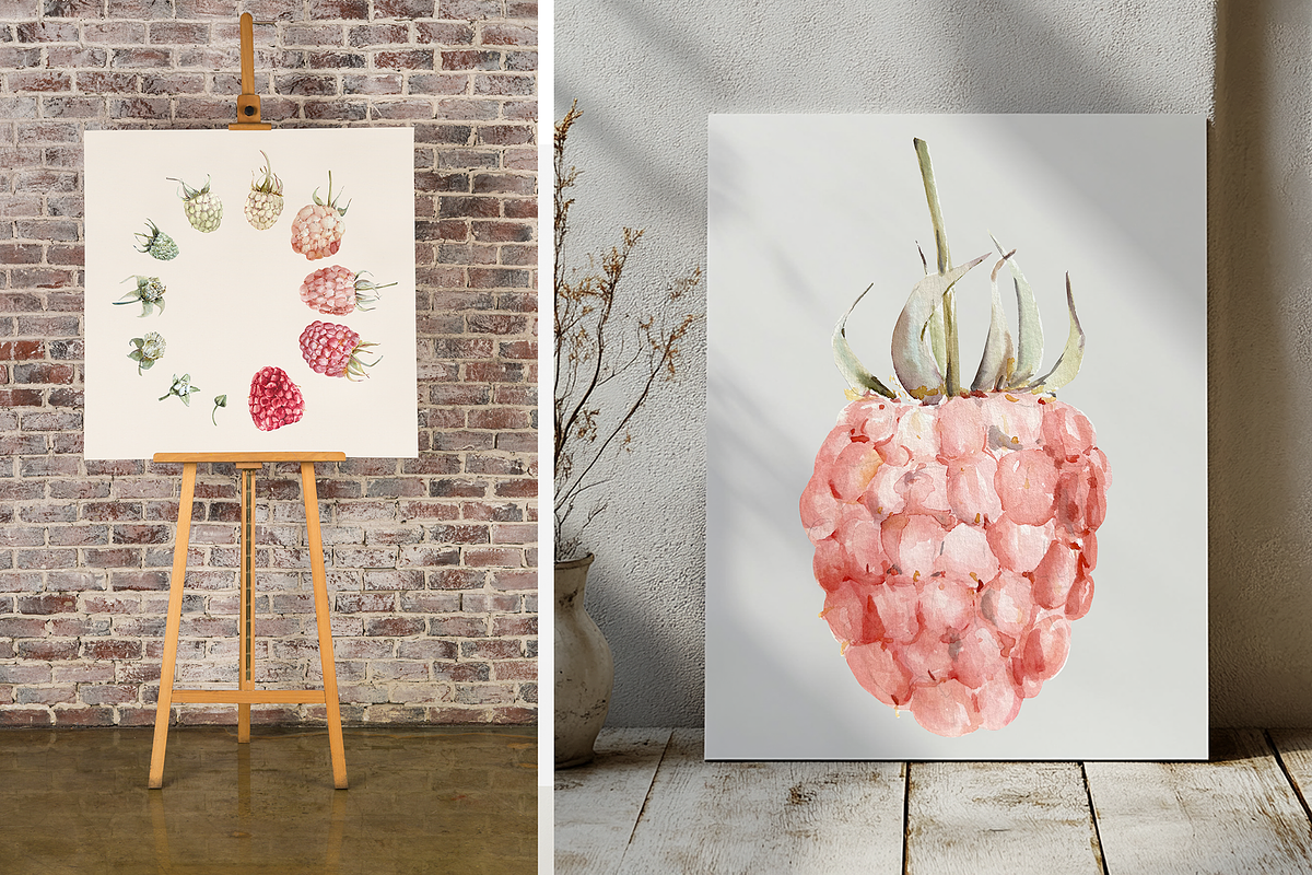 Raspberry Life Cycle Watercolor Set, an Education Illustration by Tati Bordiu (Photo 2 of 4)