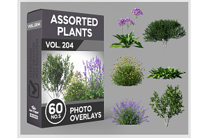 60 Assorted Plants Photo Overlays