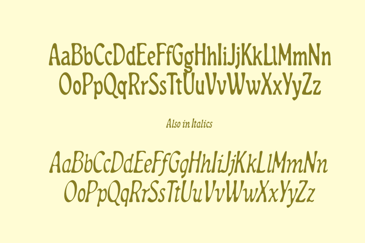 Dragonfly Meadow - Tall Serif, a Serif Font by MEG BURK CHOI (Photo 3 of 3)