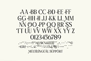 Praise Elegant Stylish Font, a Serif Font by Typebae (Thumbnail 11 of 12)