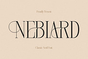 Nebiard Classic Serif Font, a Serif Font by Storytype Studio (Thumbnail 1 of 15)