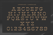 Helter Slab, a Serif Font by Dora Typefoundry (Thumbnail 11 of 13)