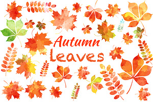 Set of autumn leaves+patterns.