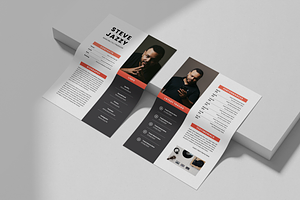 Musician Press Kit MS Word & Indd