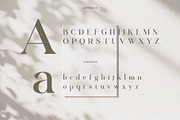 Galfika – Stylish Serif Font, a Serif Font by BrandSemut (Thumbnail 8 of 8)