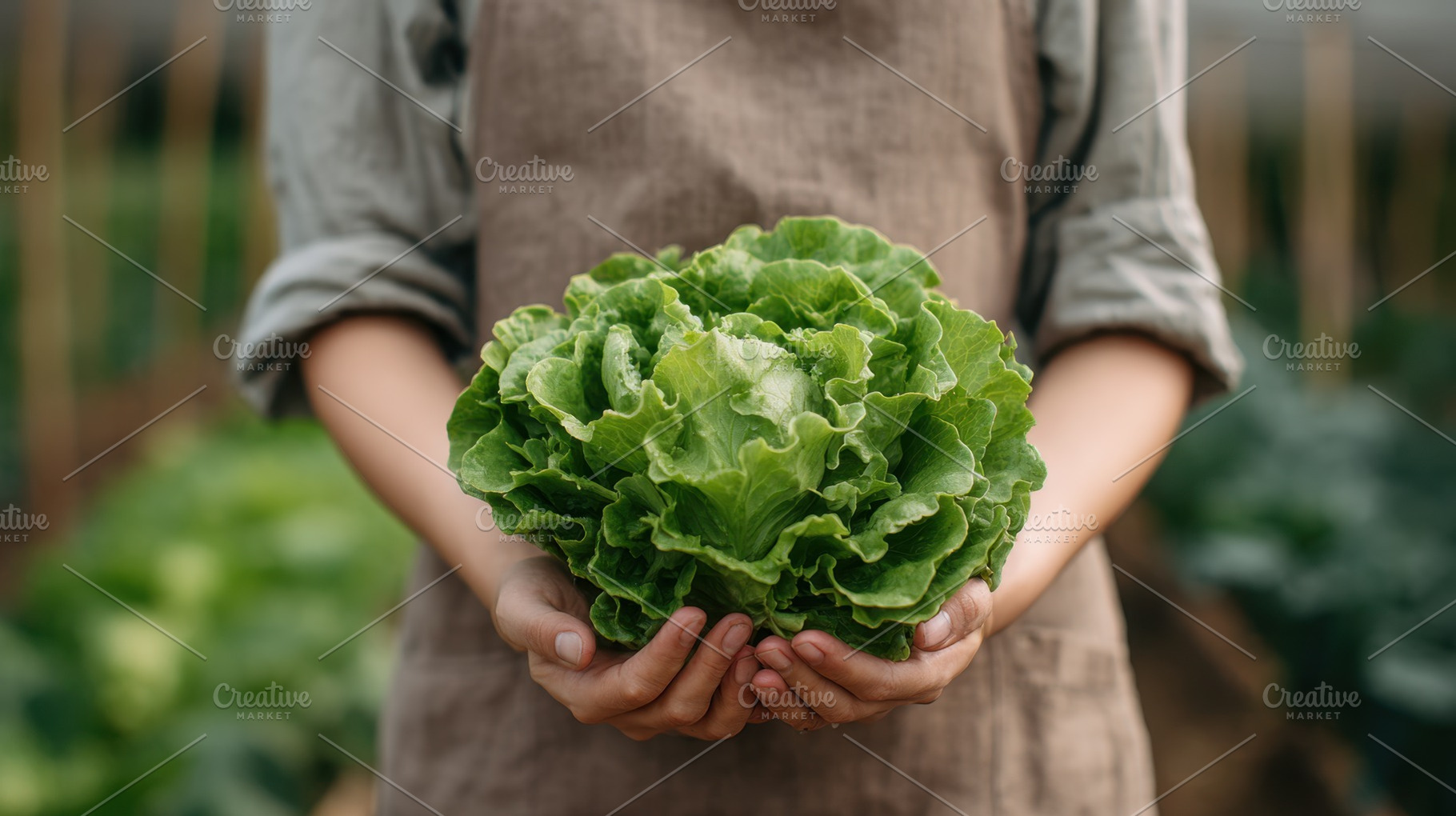 Woman holds fresh lettuce in garden, a Photo by Beautiful things