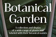Heidan – Wedge Serif Font, a Serif Font by Craft Supply Co. (Thumbnail 2 of 8)