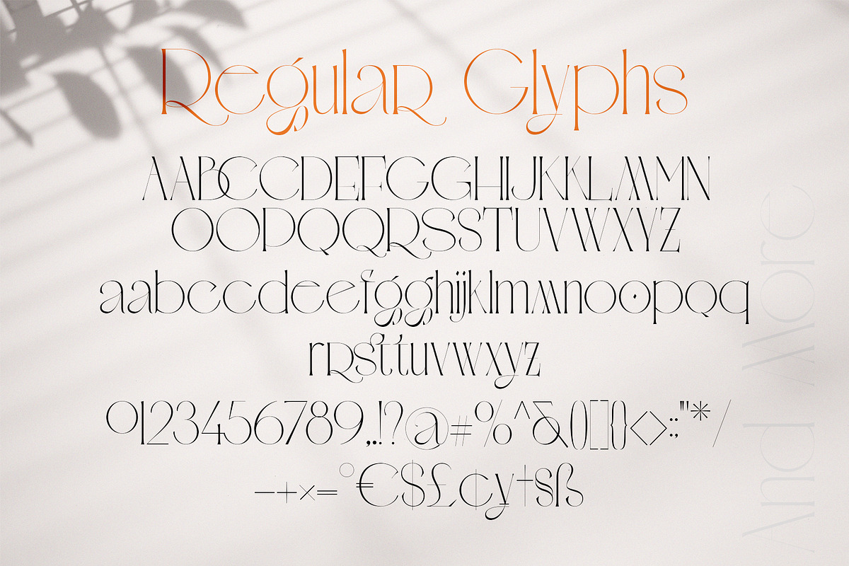 Avole | Serif Typeface, a Serif Font by Alcode (Photo 14 of 15)