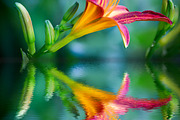 Water Reflection Photoshop Action preview 3