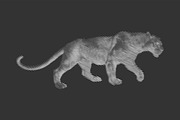 Line Art Tiger Panther Logo, a Branding & Logo Template by Designs Basket (Thumbnail 4 of 4)