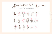 Scandinavian - Herbs and Flowers, an Object Illustration by Paperly Studio (Thumbnail 2 of 4)