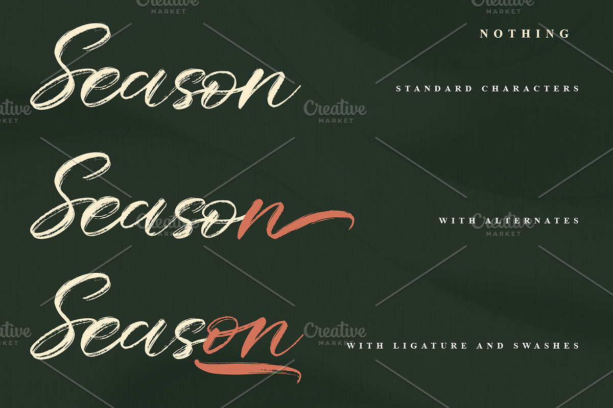 Nothing - Handwritten Font, a Handwritten Font by prps.std (Photo 2 of 7)
