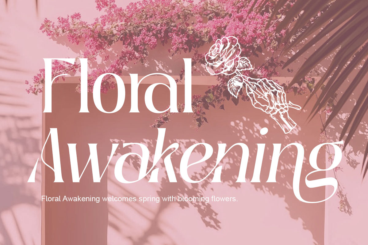 Deranie - Modern Elegant Serif Font, a Serif Font by Qweera Studio (Photo 7 of 12)