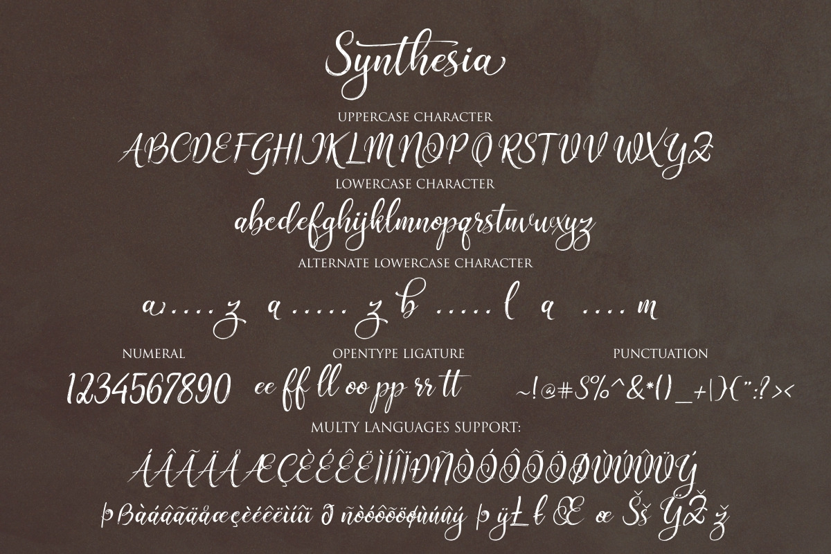 Synthesia, a Script Font by Byuly Ayika (Photo 9 of 9)