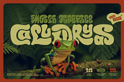 Callidryas Groovy Font, a Sans Serif Font by Gleb Guralnyk (Thumbnail 1 of 8)