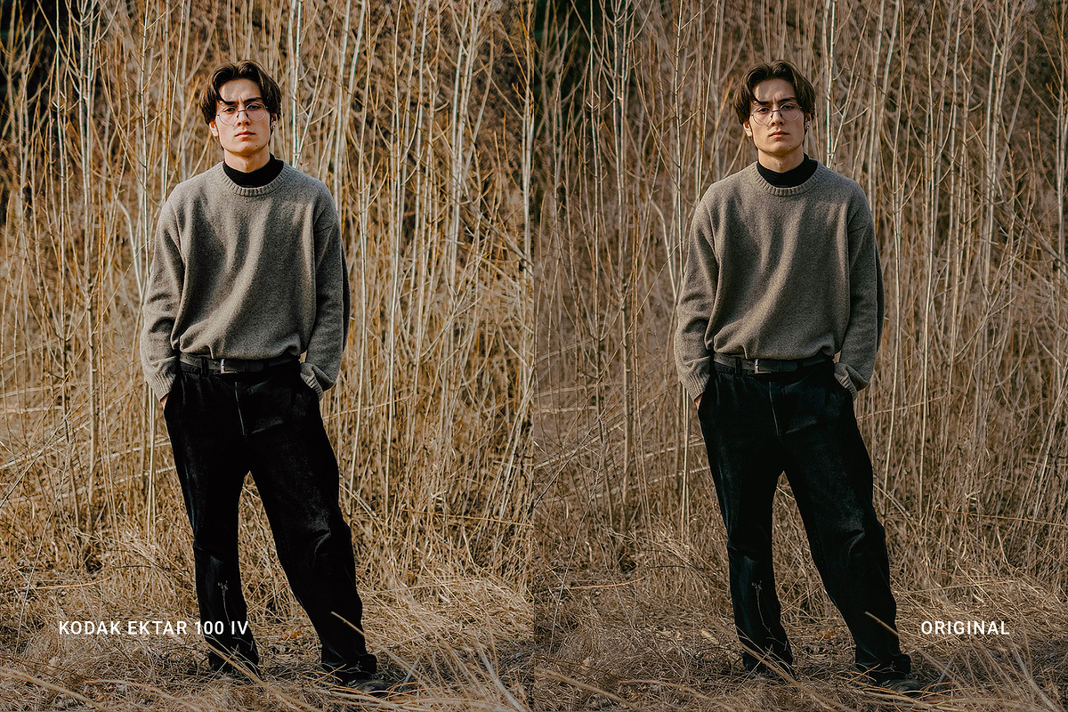 Kodak Ektar 100 IV, a Preset Add-On by colorituals (Photo 5 of 8)