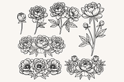 Peony Flower Line Art Illustration, a Decorative Illustration by Kusumaillustration (Thumbnail 4 of 15)