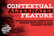 Morty - 2 vintage fonts, a Slab Serif Font by Leitmotif (Thumbnail 3 of 5)