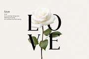 Scrawl - All caps serif font, a Serif Font by Almeera Std (Thumbnail 2 of 5)