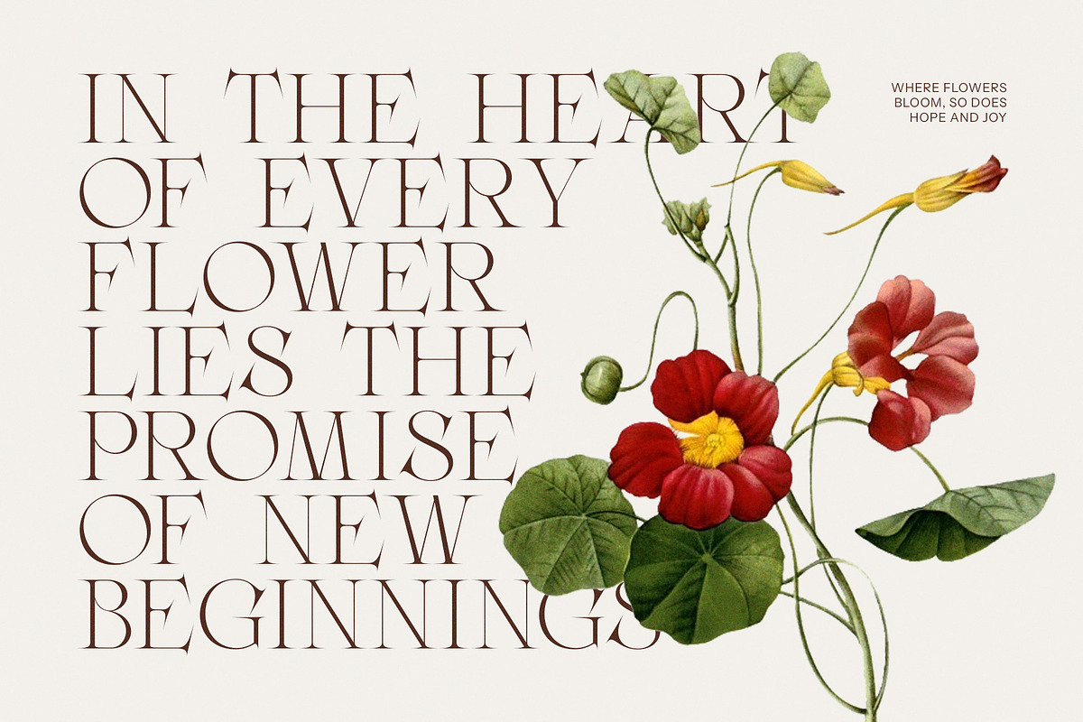 Faginta Minimalist Serif Font, a Serif Font by Perfectype (Photo 5 of 8)