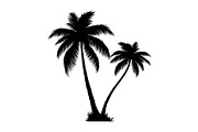 Tropical Palm Tree Bundle, an Illustration by BIPLOB EXPERT (Thumbnail 21 of 21)
