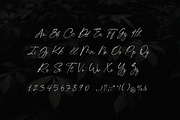 Chick Budapest Signature Font, a Handwritten Font by UICreative (Thumbnail 5 of 5)