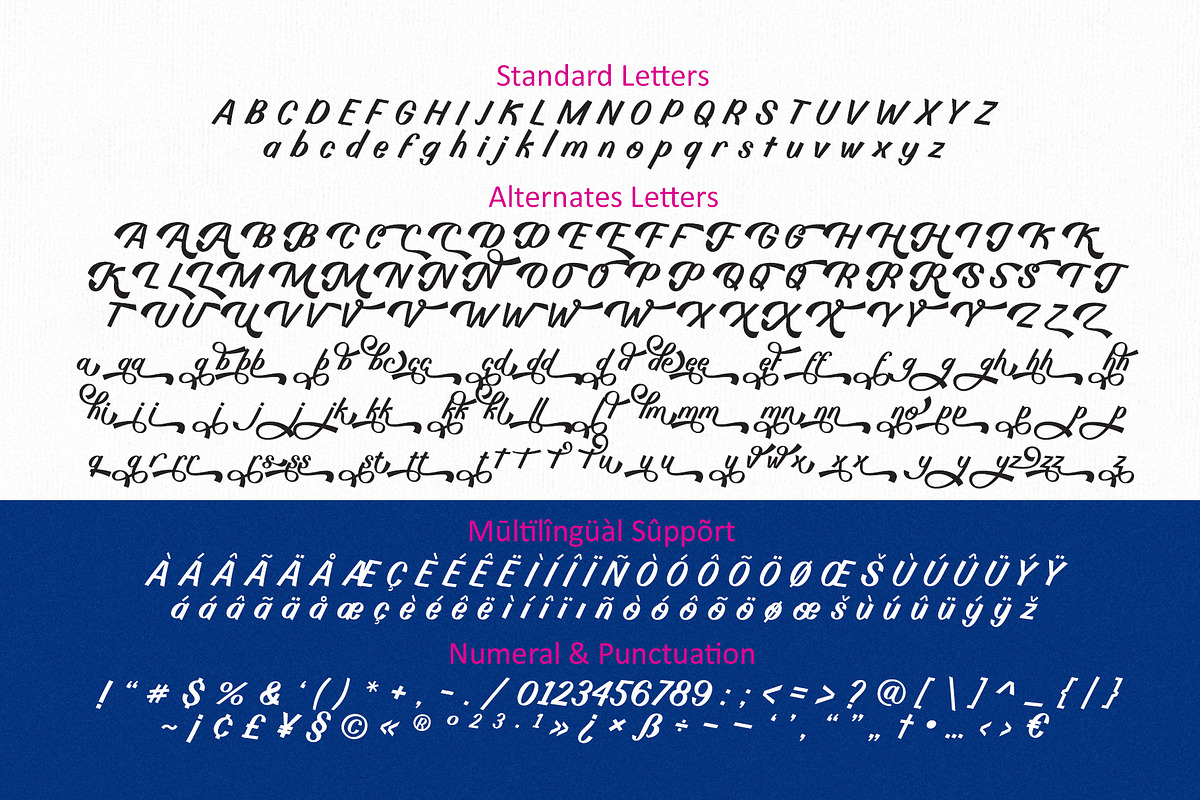 Billy Coaster Modern Retro Typeface, a Script Font by HIRO.std (Photo 10 of 11)