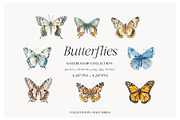 Watercolor Birthmonth florals Set, a Decorative Illustration by Grace Noboa Illustrations (Thumbnail 5 of 10)