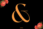 Chaviera, a Serif Font by INKSUN™ (Thumbnail 2 of 13)