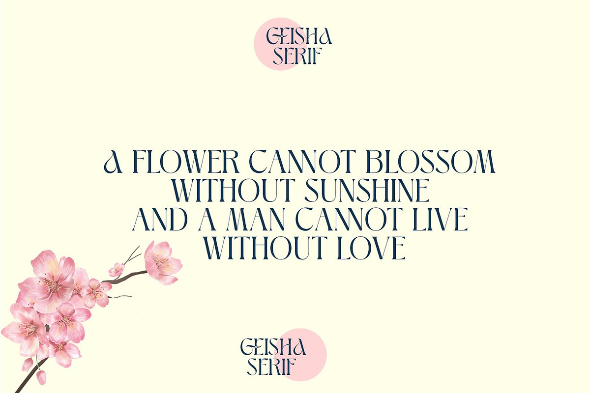Aluest - Elegant Modern Font, a Serif Font by Luna Shop (Photo 5 of 7)