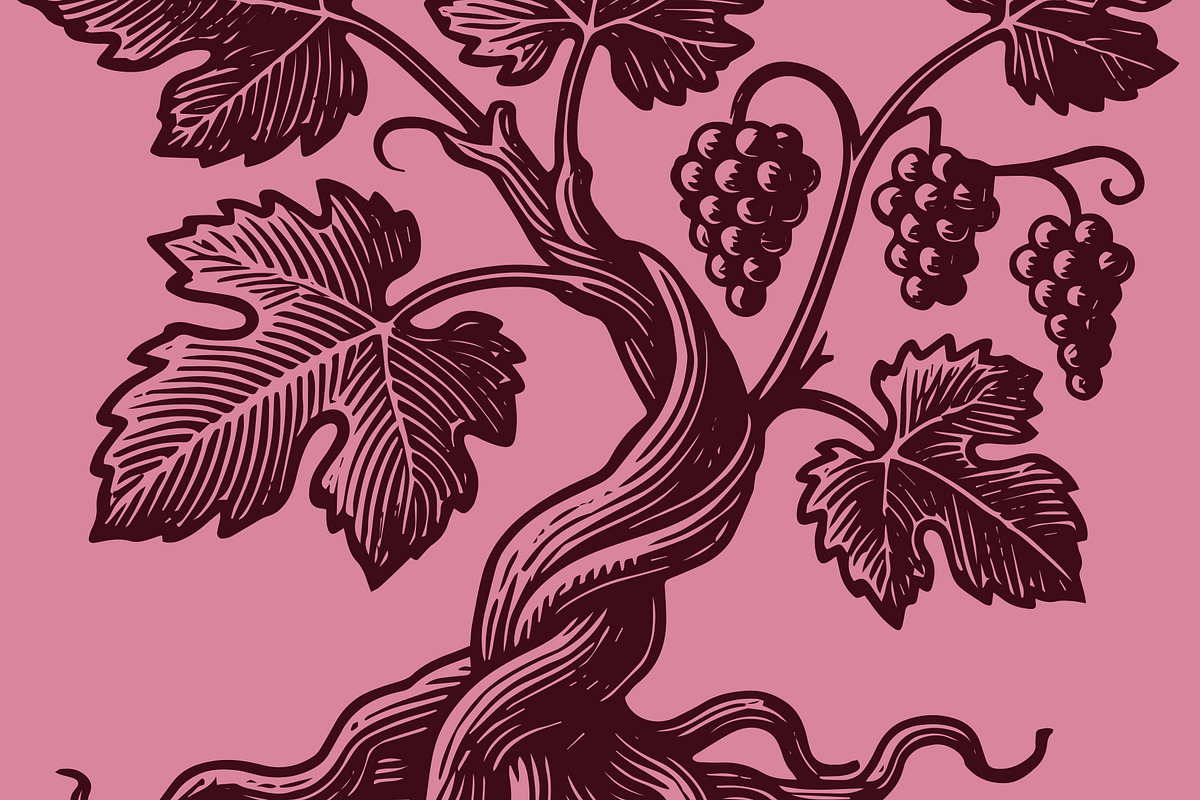 Woodcut-Style Grape Vine, a Food Illustration by Electric Ink (Photo 2 of 2)