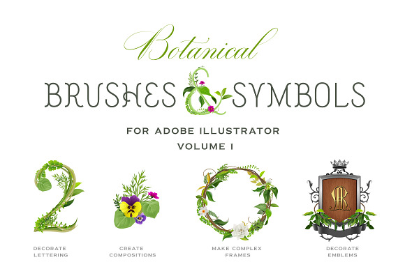 Botanical Brushes & Symbols preview 4