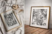 Tropical black& white plants, a Decorative Illustration by Jeanna Draw (Thumbnail 9 of 17)