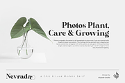 Nevrada Modern Display Font, a Font by Aluyeah Studio (Thumbnail 7 of 12)