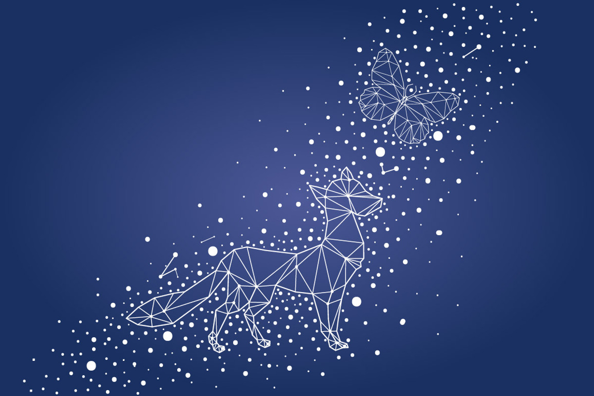 Geometric animals. Night sky., a Background Graphic by lycka (Photo 5 of 7)