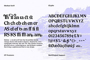Shelian, a Serif Font by Seniors (Thumbnail 6 of 15)