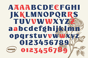 Marige - Modern Display Serif Font, a Serif Font by Zarma Type (Thumbnail 11 of 12)