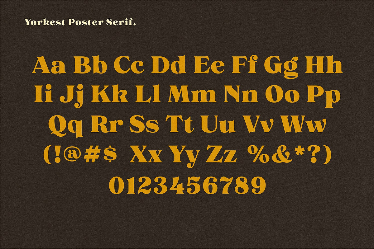 NS Yorkest Poster, a Serif Font by Novisouldado (Photo 2 of 14)