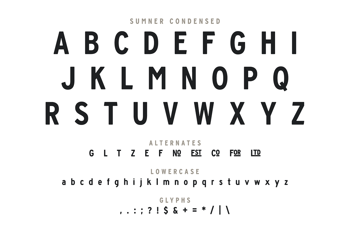 Barbecue Logo Bundle + Fonts, a Branding & Logo Template by Millieangelo (Photo 4 of 7)