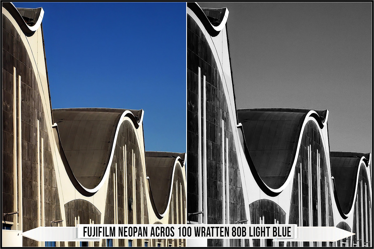 Fujifilm Black and White Film LUTs, a Plug-in Add-On by Raztrend (Photo 11 of 30)