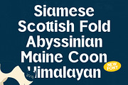 Oritale Modern Display Font, a Sans Serif Font by timelesstype.co (Thumbnail 16 of 20)