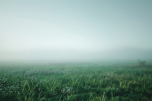 Craft a minimalist nature background, a Photo by LOGOCREATIVE