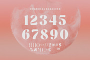 Meredith, a Sans Serif Font by elevencreateam (Thumbnail 10 of 11)